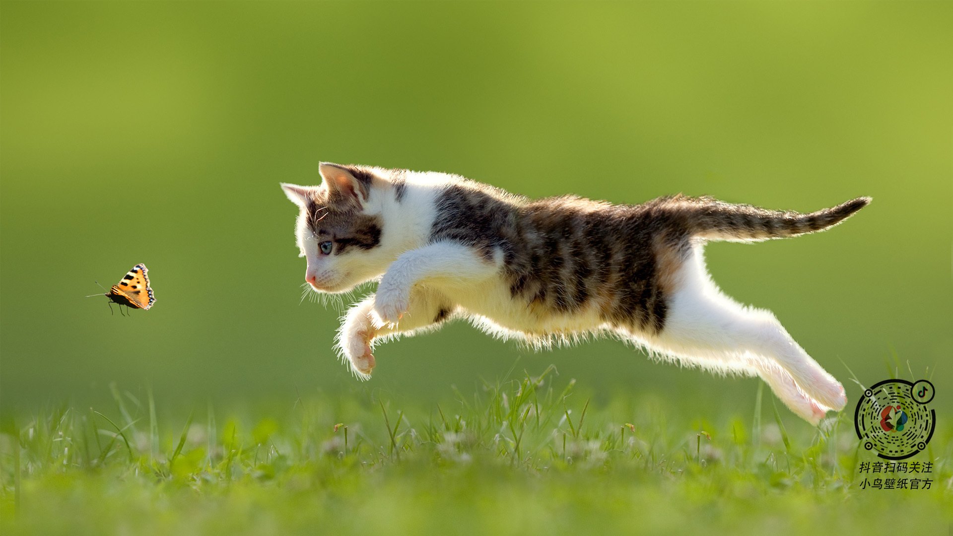 强队对抗:巅峰时刻的精彩绝伦较量,强队对强队的成语