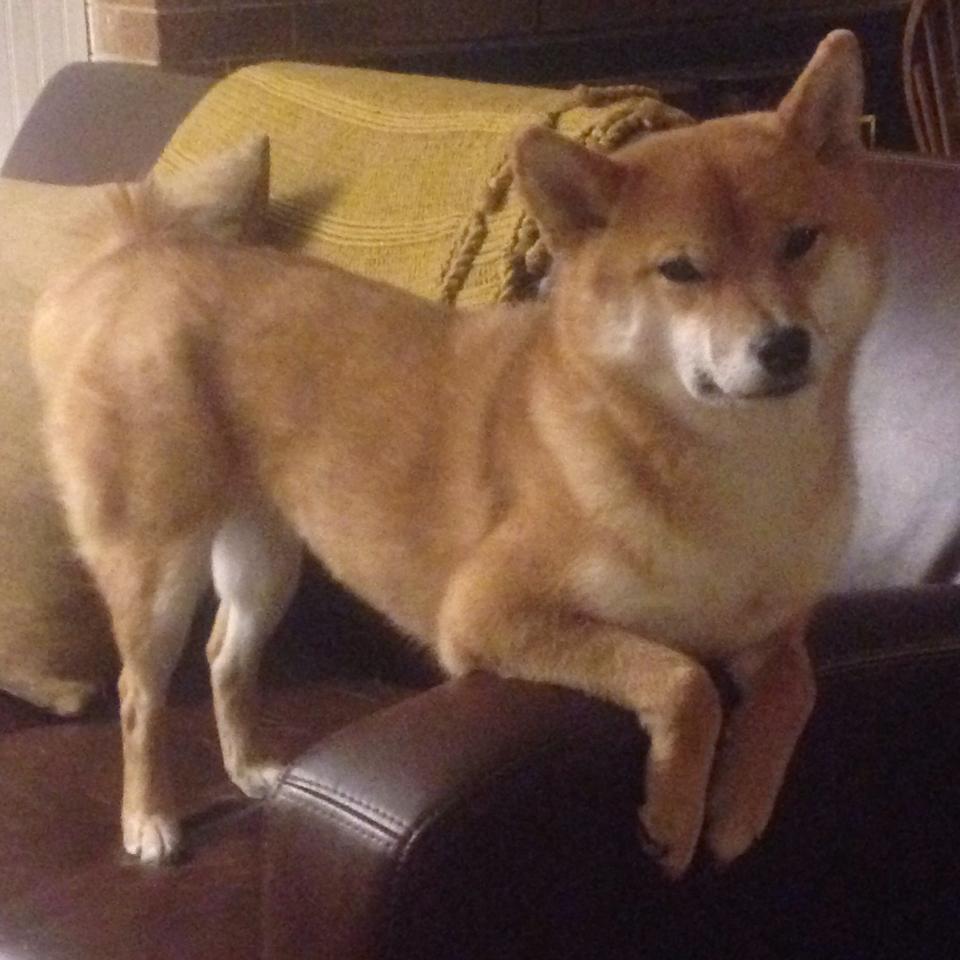 爱游戏综合娱乐-未来篮球场：全息投影与虚拟场景成新宠，未来篮球馆