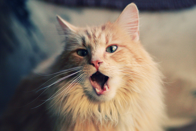 未来篮球场:全息投影与虚拟场景成新宠,未来篮球馆