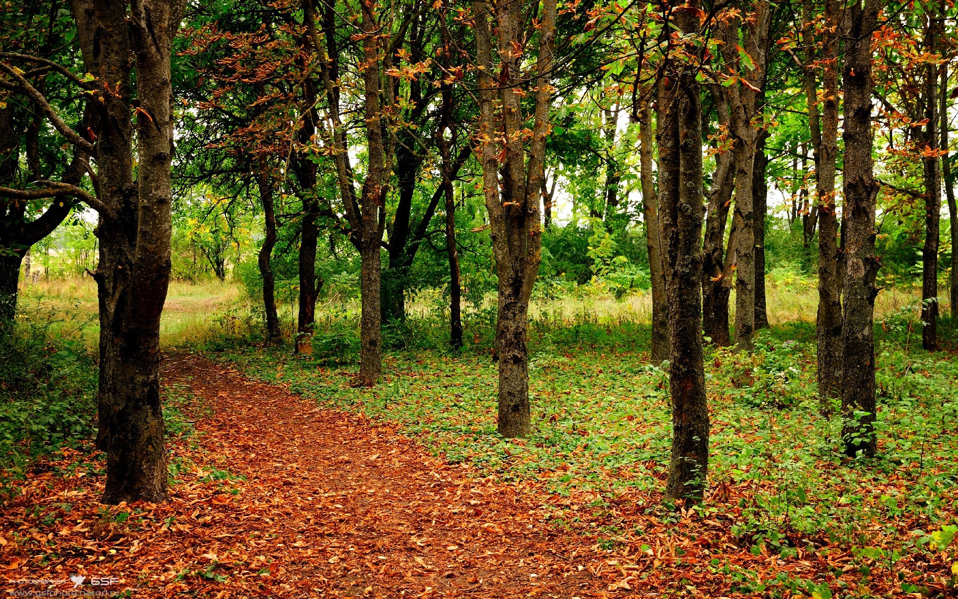 防守奇兵：李磊关键封盖，助球队稳住胜局！