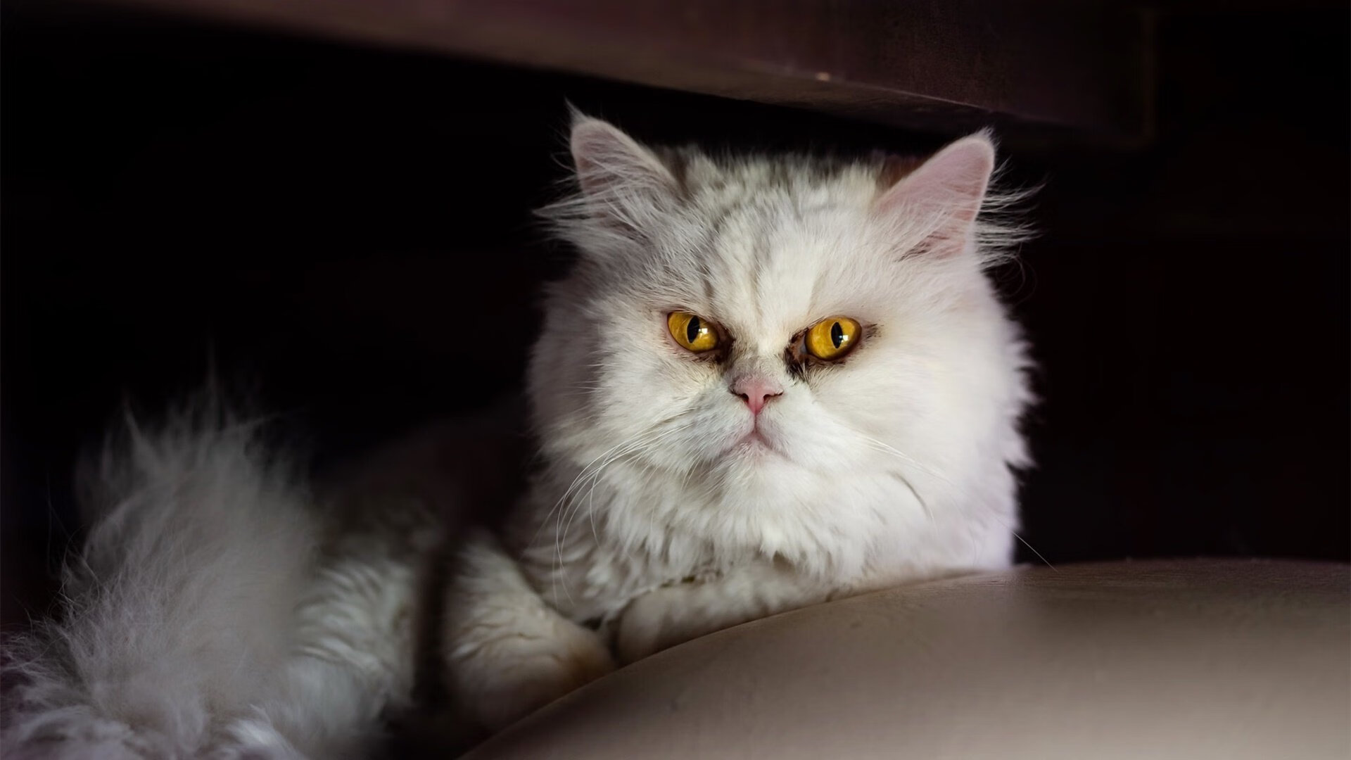 青少年“体育手绘”美术展在上海亮相,融合篮球元素,传递青春力量