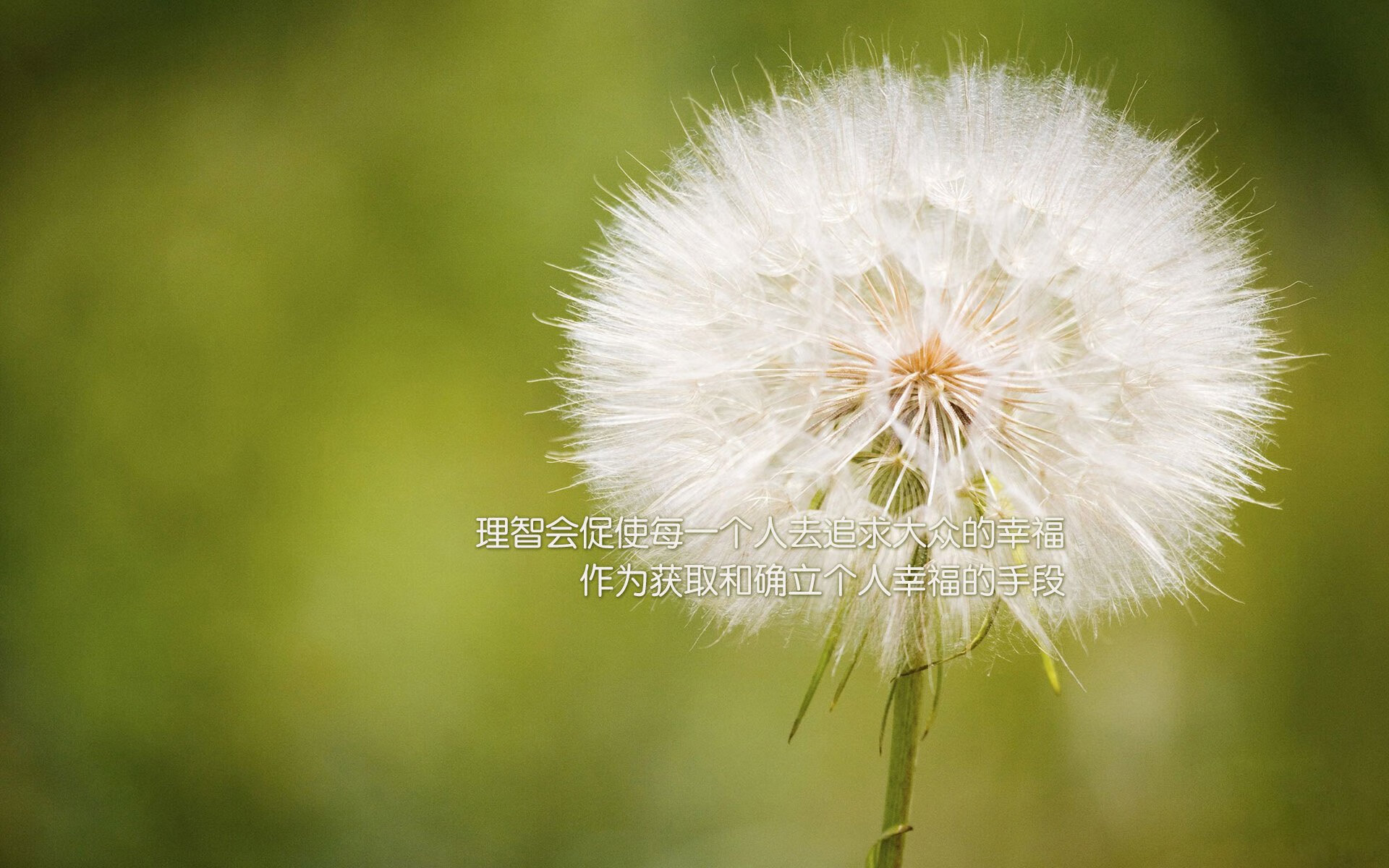 NBA夏季联赛首场战罢，年轻球员表现出色，nba 夏季