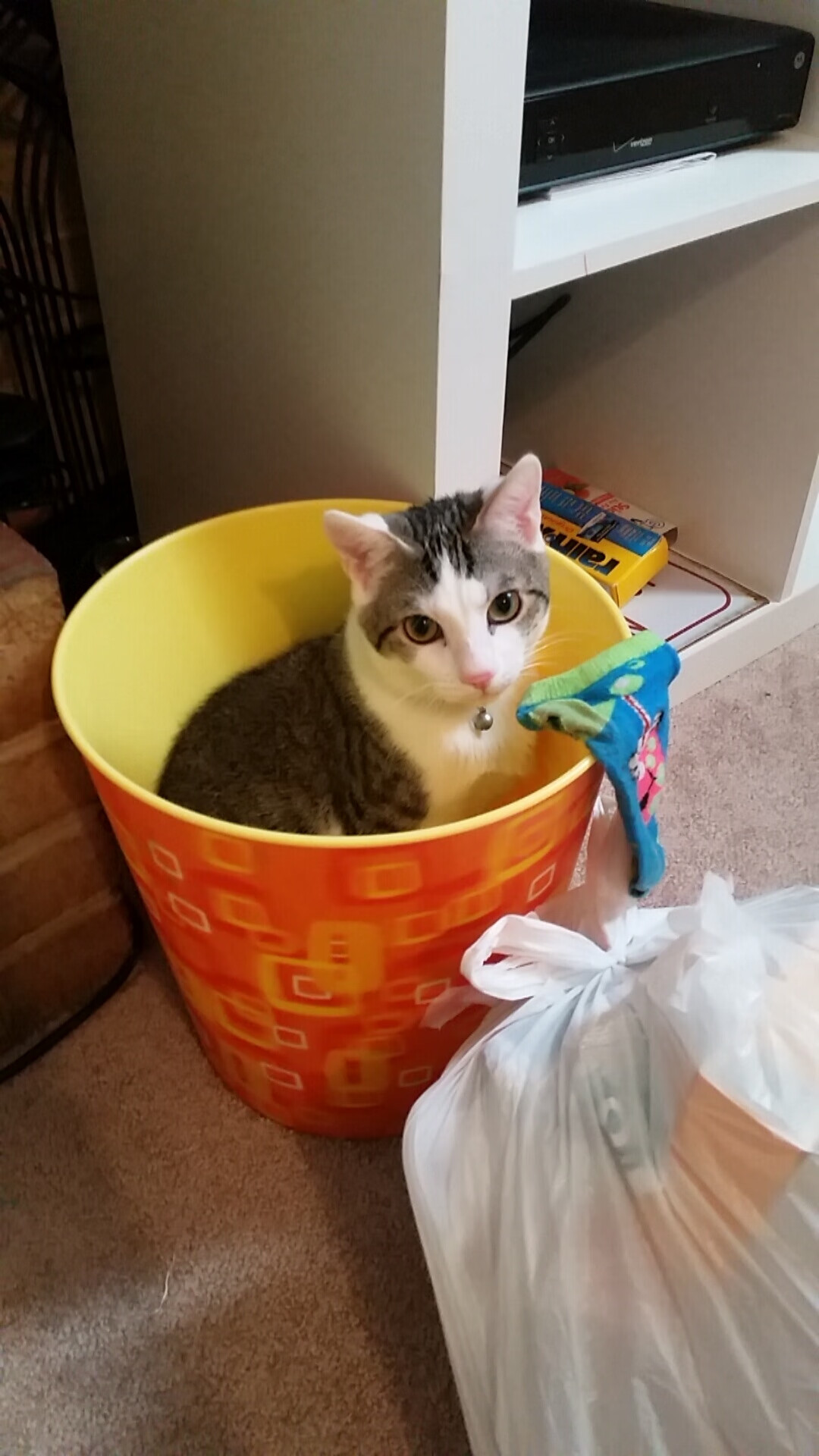 WNBA巨星伤愈归来:前中国篮球队球员助阵重返赛场,中国篮球受伤队员