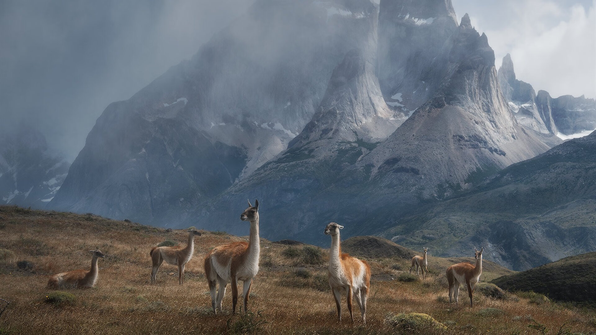 爱游戏下载-国际赛事火热进行，豪门球队展开激烈对抗，各国联赛豪门