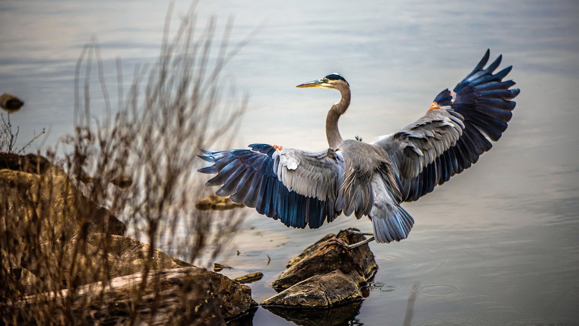 爱游戏电竞官网-幽灵队阵容齐整，全员发挥稳定，获得胜利，幽灵队伍