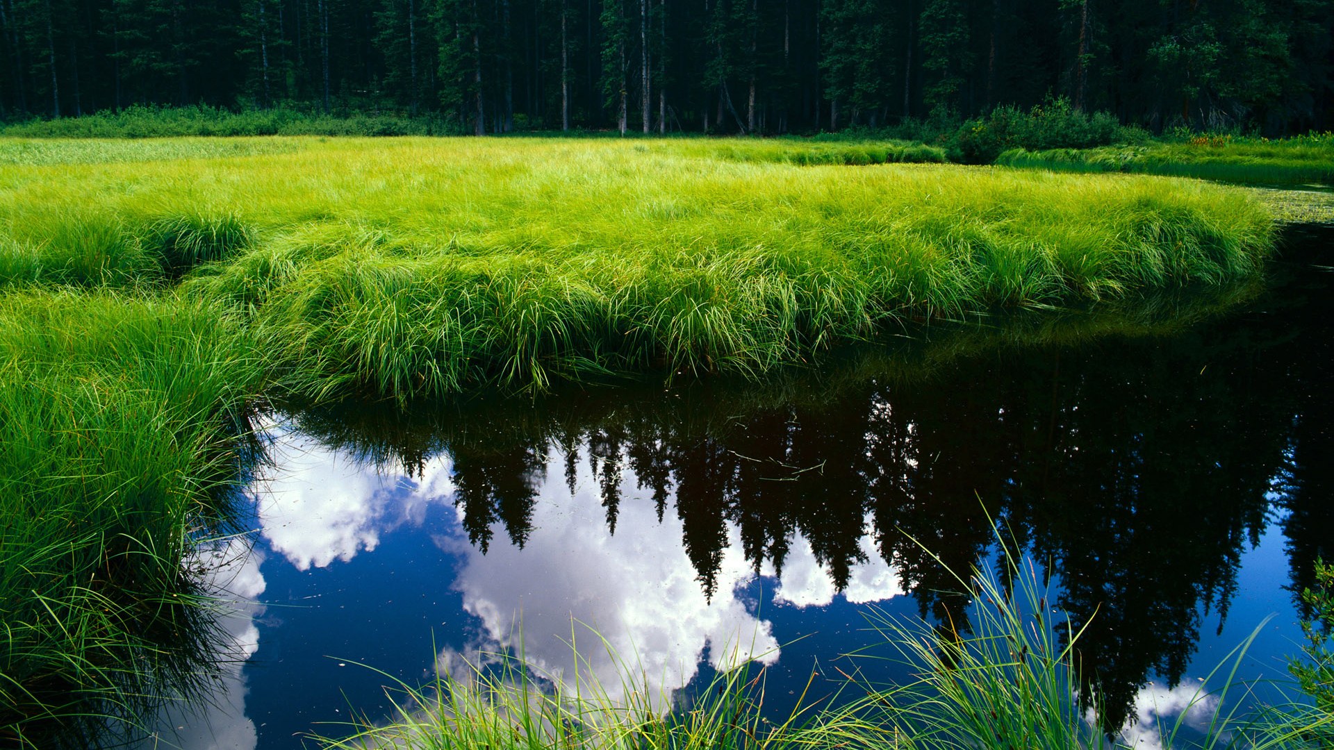 比赛结果出乎意料,让观众感到意外惊喜,比赛的结果怎么样
