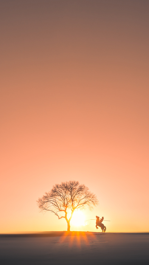 爱游戏体育app-火箭新星连续得分点燃主场，新火箭人