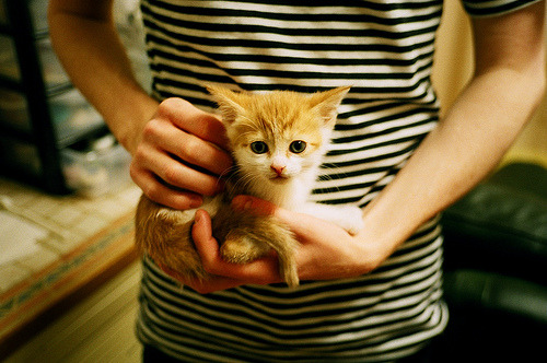 皇家马德里官方宣布球队换帅决定,球迷担忧,皇家马德里俱乐部球员