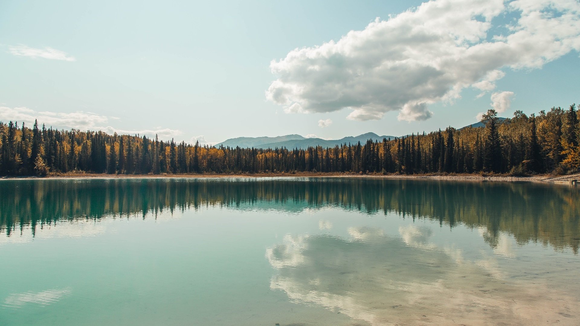 美国篮球传奇巨星受邀出席重要赛事,美国篮球巨星排行榜