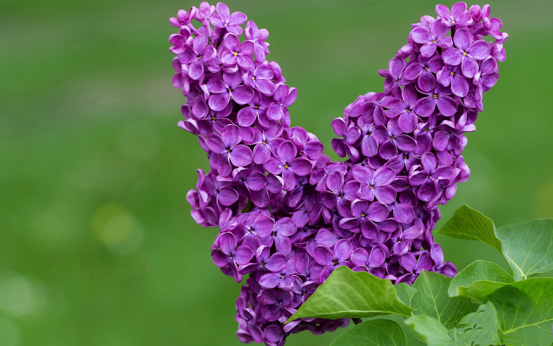 胜负难料!欧国联冠军赛接近尾声,欧国联冠军是谁