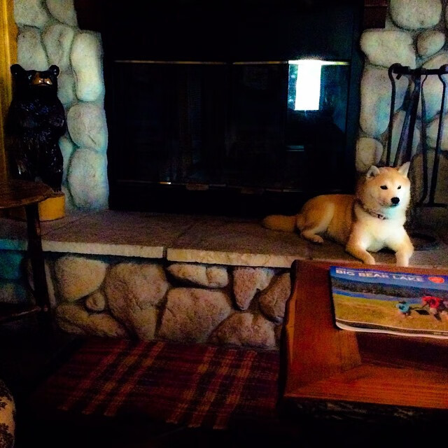 爱游戏体育（AYX）官方APP下载-阿尔瓦塞提客场战平，保持稳定态势，阿尔瓦撒