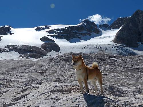 中超球队阵容轮换周期趋势建模,中超新赛季换人规则