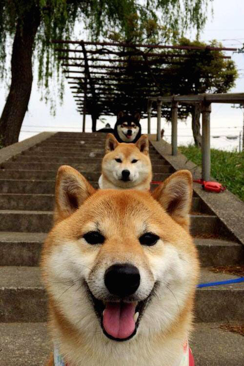 AYX GAME-当代足球：从“单一”到“多元”的演变