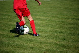 爱游戏在线登录入口-篮球专项技能训练标准体系建设，篮球专项训练方法和手段