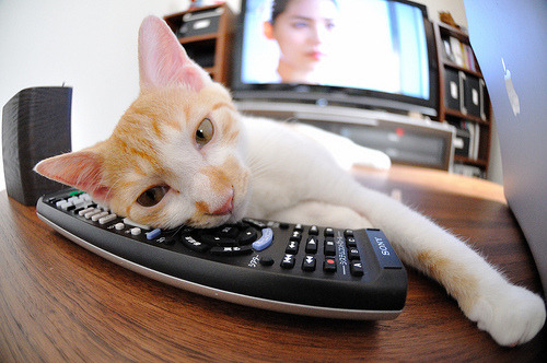 “短柄墙球:高新区全民健身馆,比赛不止是对抗,更是智商与反应速度的比拼”