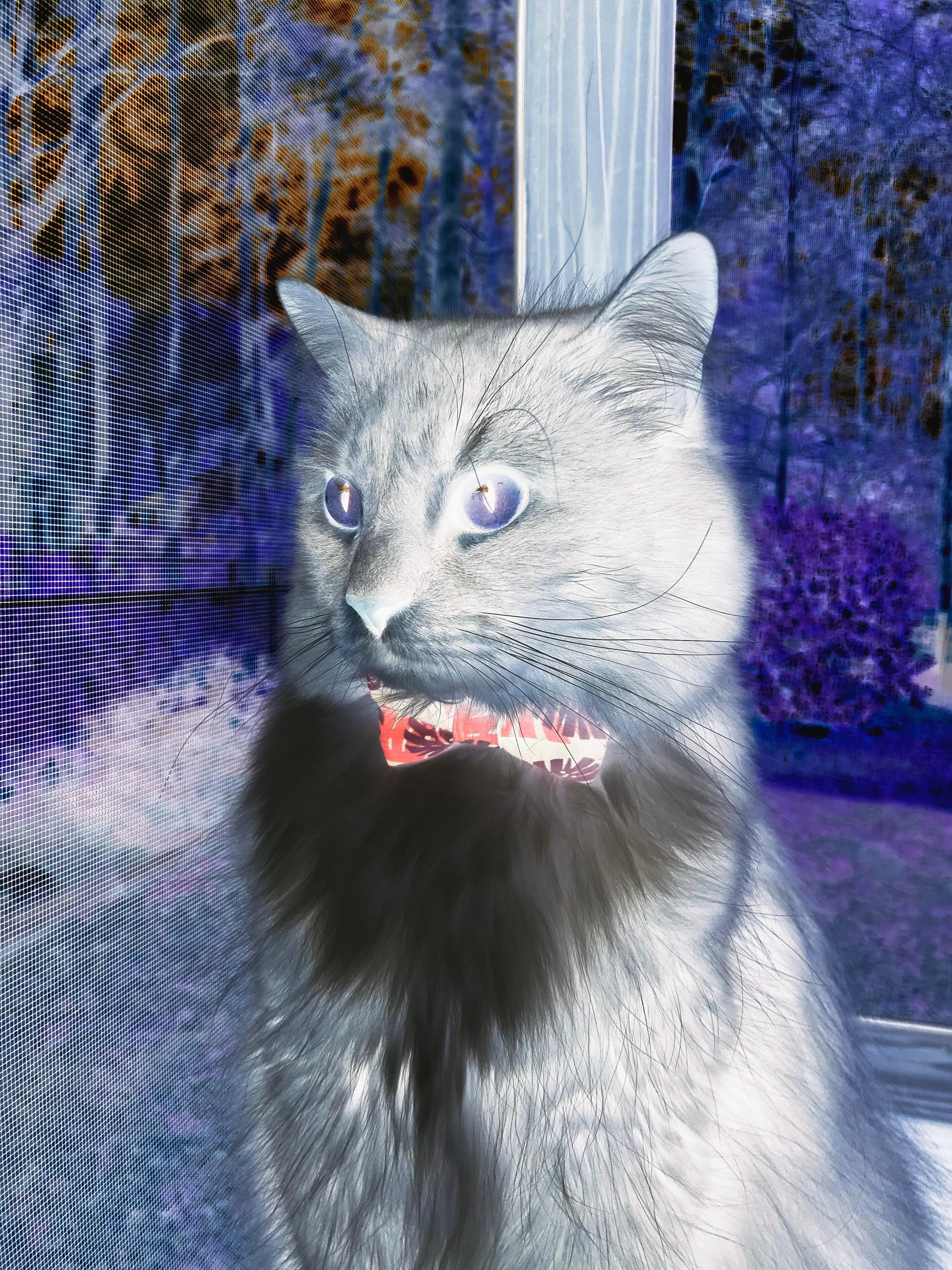 主场连胜纪录持续扩大球队整体状态稳定实现多线作战平衡，主场胜率百分百打一成语